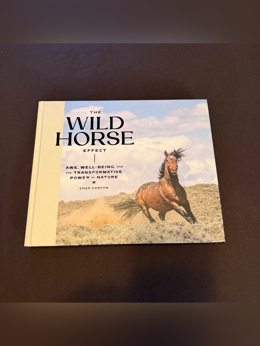 Wild Horse Book